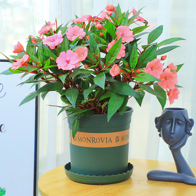 762c35207f0e056a6785425bee0f40b.jpg 762c35207f0e056a6785425bee0f40b.jpg