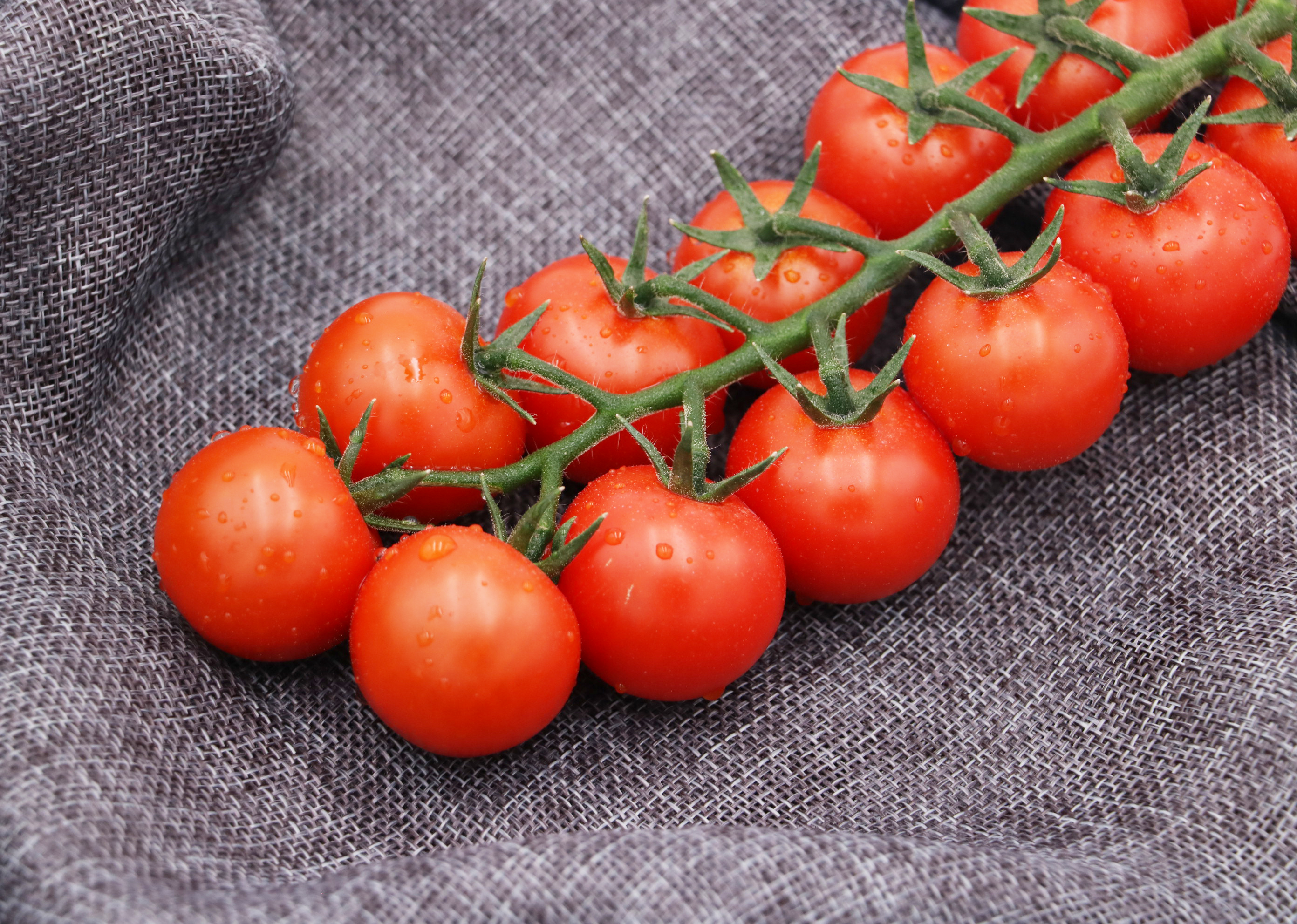 IMG_6103.jpg IMG_6103.jpg