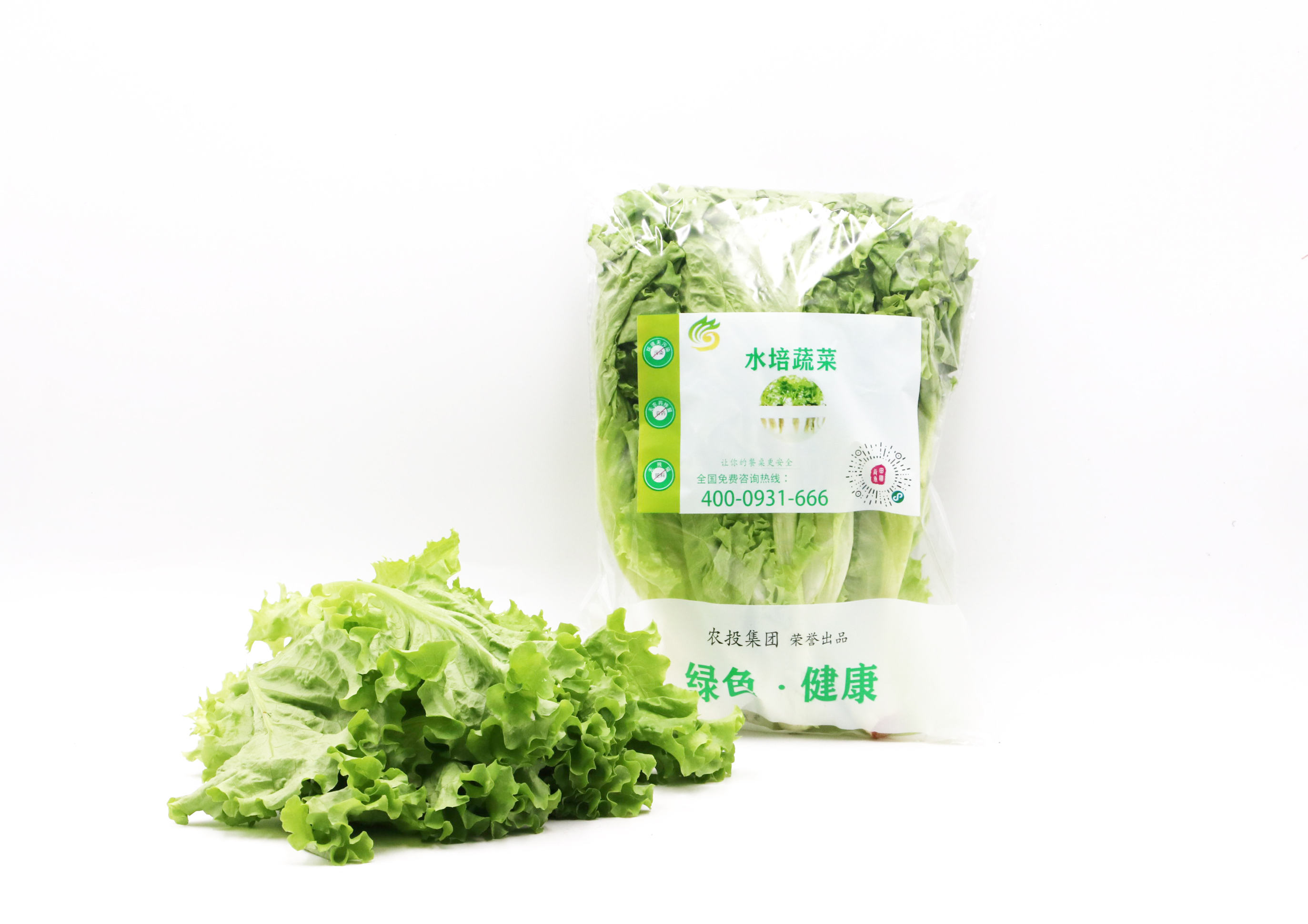 IMG_6039.jpg IMG_6039.jpg