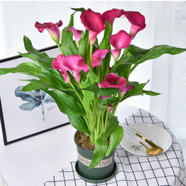 O1CN01LgAYmG21HGoiak0qr_!!3782286959.jpg_400x400.jpg O1CN01LgAYmG21HGoiak0qr_!!3782286959.jpg_400x400.jpg