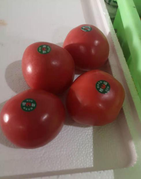 圖片6.png 圖片6.png