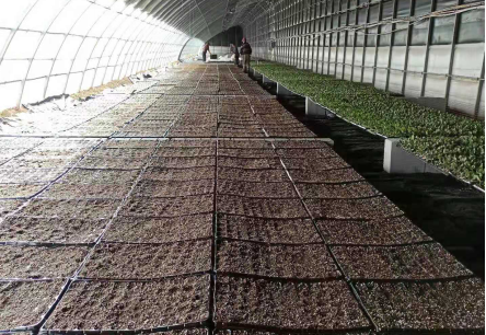 圖片8.png 圖片8.png