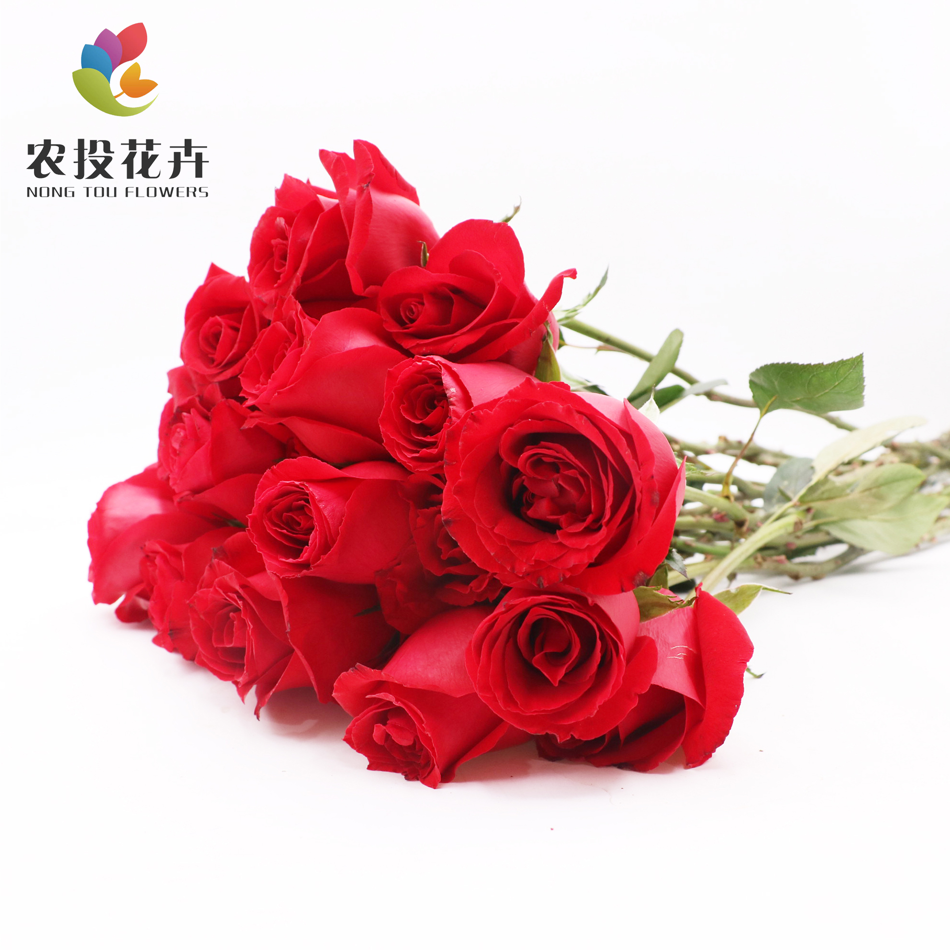 娜歐蜜1.jpg 娜歐蜜1.jpg