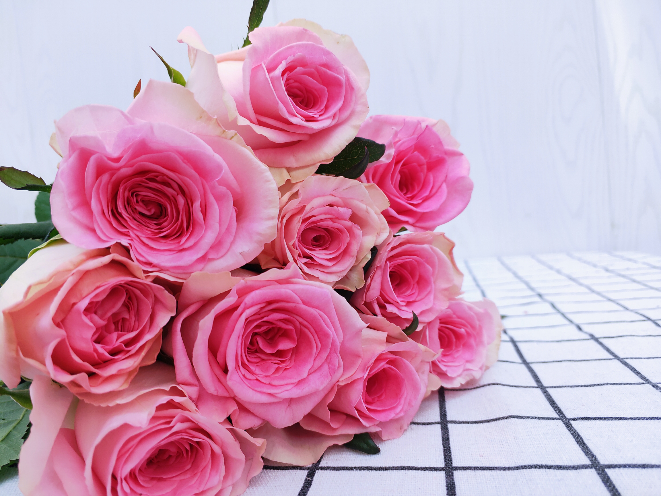 洛神1.jpg 洛神1.jpg