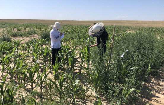 圖片1_meitu_1.jpg 圖片1_meitu_1.jpg