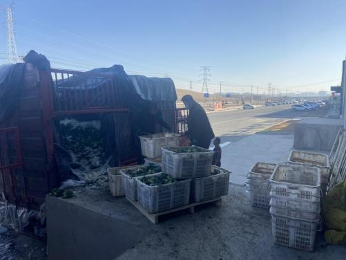 圖片12.png 圖片12.png