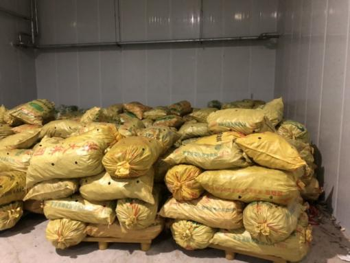 圖片13.png 圖片13.png