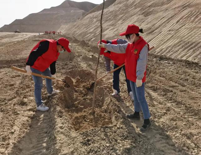 圖片6.png 圖片6.png