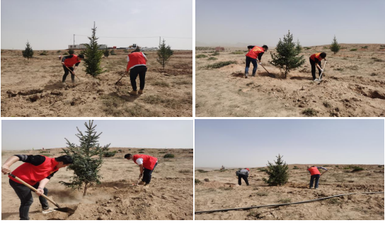 圖片2.png 圖片2.png