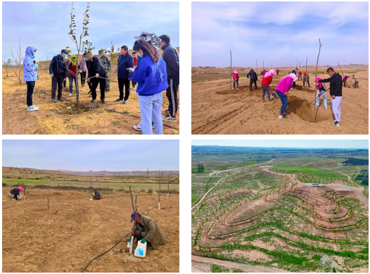 1666060165(1).png 1666060165(1).png