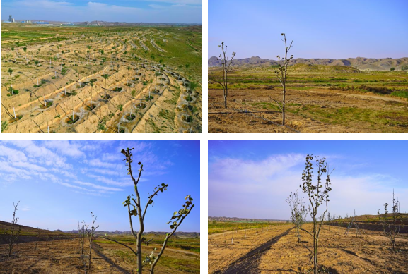 1666060187(1).jpg 1666060187(1).jpg