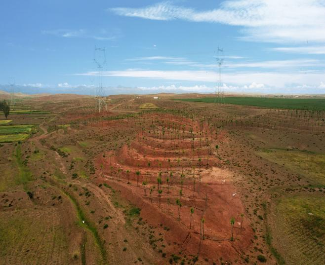 圖片1.png 圖片1.png